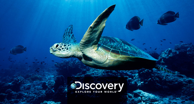 Discovery English Course